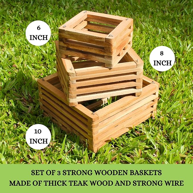 Set of 3 Strong Hanging Orchid Baskets with Hangers, for Orchids, Staghorn Ferns, Handmade Rustic Wood Vanda Baskets, Staghorn Fern Mount