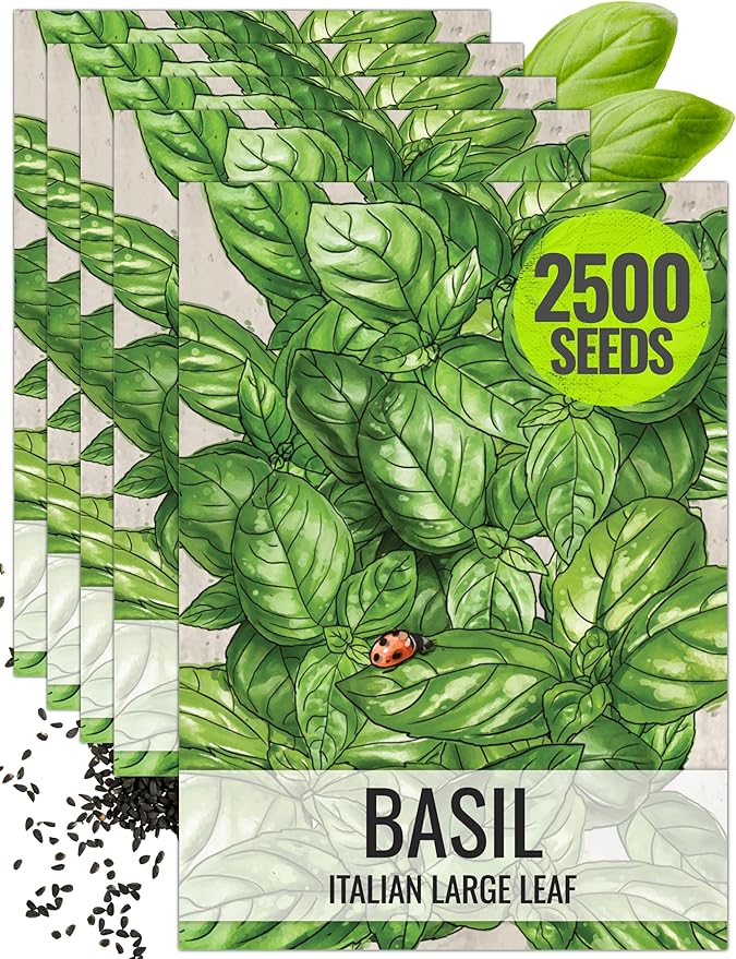 Seed Needs Italian Large Leaf Basil Seeds for Planting - Non-GMO, Heirloom & Untreated - Organically Grow an Indoor or Outdoor Home Grown Herb Garden (5 Packs)