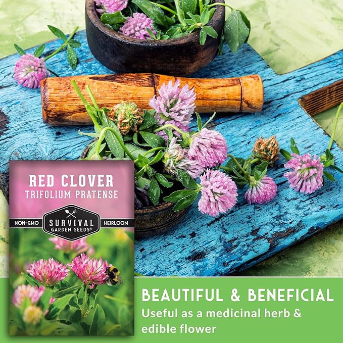 Survival Garden Seeds - Red Clover Seed for Planting - 3 Packets with Instructions to Plant & Grow a Medicinal Herb & Nitrogen Fixing Ground Cover in Your Home Garden - Non-GMO Heirloom Variety