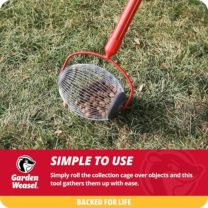Garden Weasel Nut Gatherer - Small Cage | Pick Up Small Acorns, Buckeyes, Beech Nuts | Nut Collector and Picker Upper Roller | 95334
