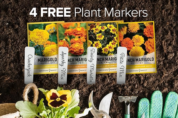 Gardeners Basics, Marigold Seeds for Planting Outdoors (4 Variety Pack) French Marigold Petite Mix, Dainty Marietta, Sparky, and African Marigold Seeds Crackerjack for Pollinators Wildflower Seed