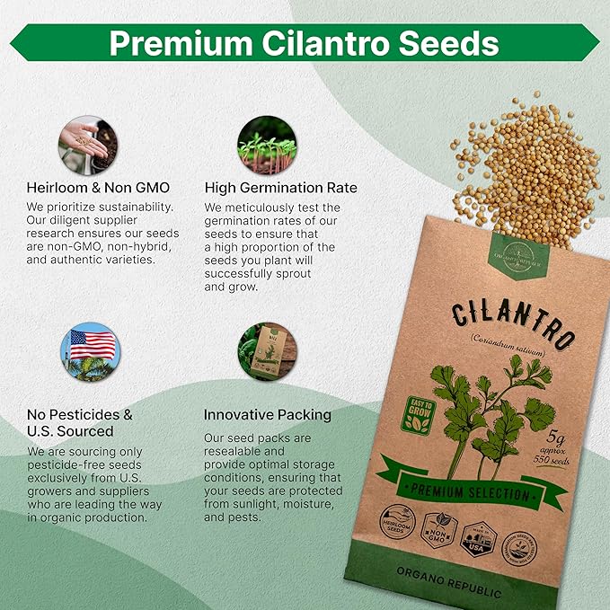 Cilantro Seeds Pack 5 G - Over 550 Non-GMO Heirloom Cilantro Seeds for Planting Herbs in Individual Seed Packet, Herb Seeds for Planting Home Garden Indoor & Outdoor Gardening