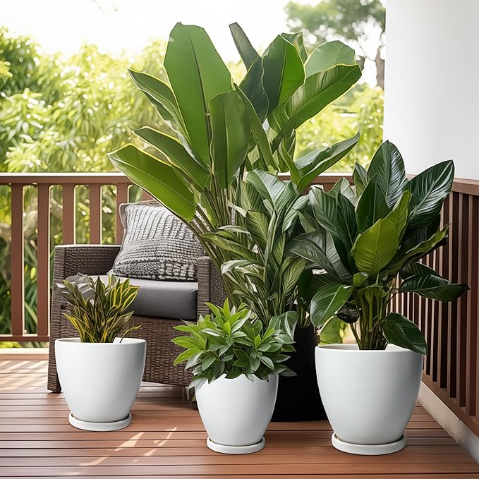 Ceramic Planter - 10 Inch Plant Pot with Drainage Hole and Tray, Flower Pot Planters for Indoor Plants, Modern Room Garden Patio Bathroom Living Room Porch Home Decor, White