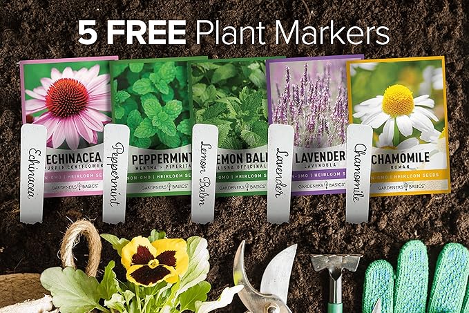Gardeners Basics, Herbal Tea Seeds for Planting Indoors and Outdoors 5 Variety Packets Echinacea, Peppermint, Lavender, Chamomile and Lemon Balm - Great for Kitchen Herb Garden Heirloom Herb Seeds