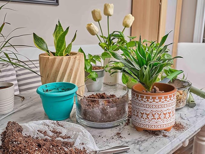 D'vine Dev Set of 2 Terracotta Planter Pots, 4.4 Inch & 6.4 Inch, Wave Pattern Plants Pot with Drainage Hole, Terracotta/White, 31-953-F-1