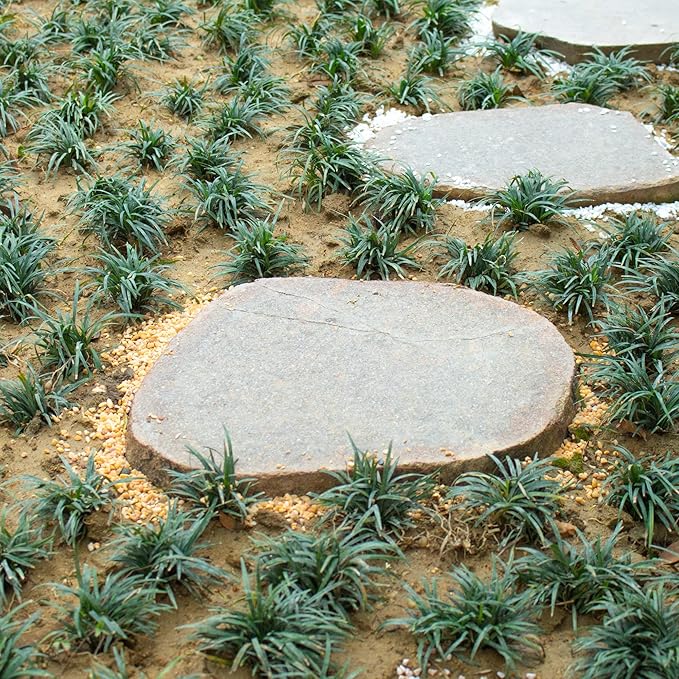 18LB Aquarium Gravel Mix Rocks for Succulent,Cactus Bonsai DIY, Gravel for Terrarium, Fairy Gardening, Top Dressing (6mm-8mm)