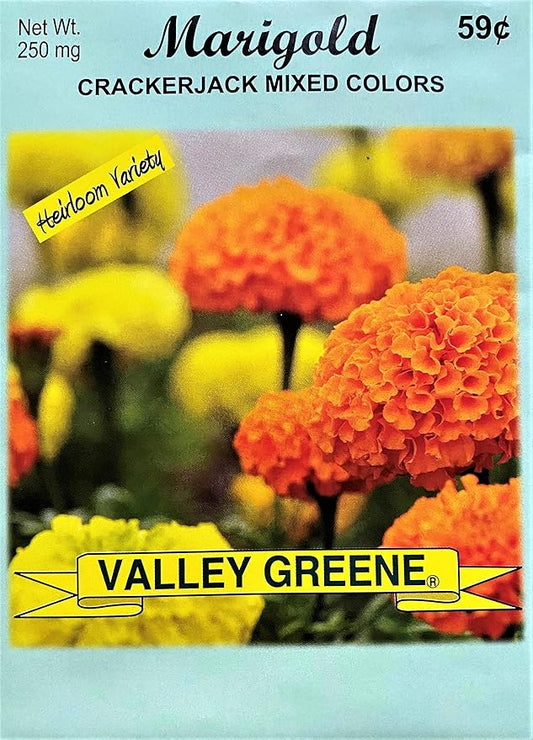 Black Duck Brand Set of 25 Marigold Crackerjack Flower Seed Packets! Flower Seeds in Bulk - Great for Creating The Garden of Your Dreams! (25, Marigold - Crackerjack)