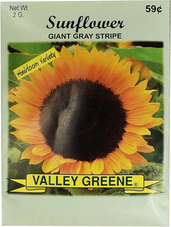 Black Duck Brand Set of 25 Sunflower Giant Grey Flower Seed Packets! Flower Seeds in Bulk - Great for Creating The Garden of Your Dreams! (25, Sunflower - Giant Gray Stripe)
