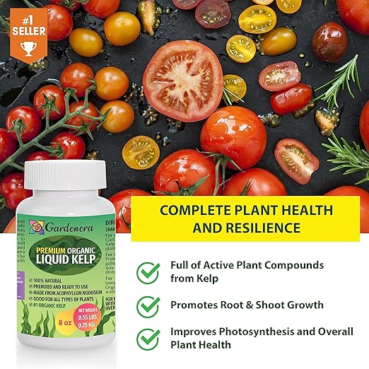 Premium Organic Liquid Kelp Fertilizer by GARDENERA - 8 oz - Unlock The Power of Seaweed Fertilizer for Vegetables, Trees, Lawns, Shrubs, Flowers, Seeds & Plants