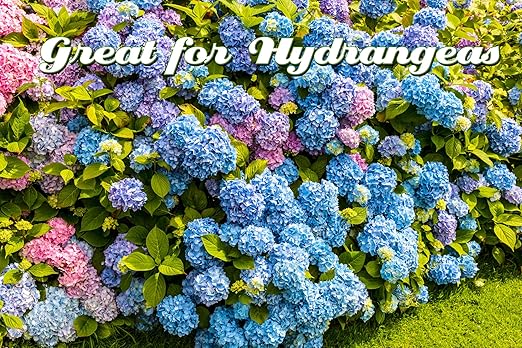 I Must Garden Soil Sulfur Pellets: Organic Soil Acidifier | Naturally Promotes Lush Growth – 5lb Shaker Jar