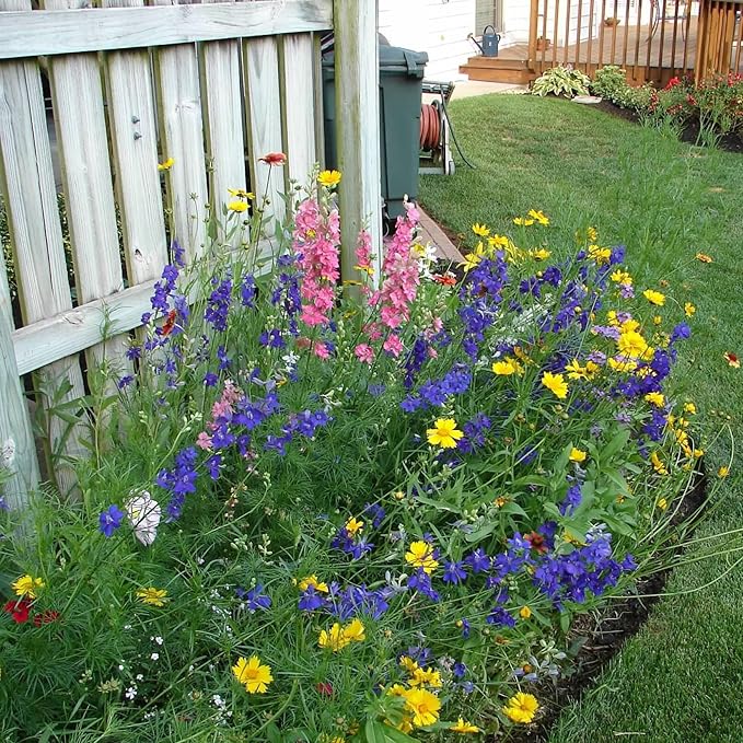 Washington Wildflower Seed Mix, Covers 325 Sq Ft, 20 Flower Varieties, Over 60,000 Seeds - Created By Nature