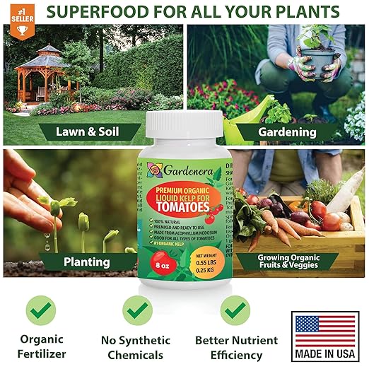 Tomato's Best Friend! GARDENERA Organic Liquid Kelp Fertilizer - 16 oz - Optimal Care for Your Tomato Plants' Growth and Flavor