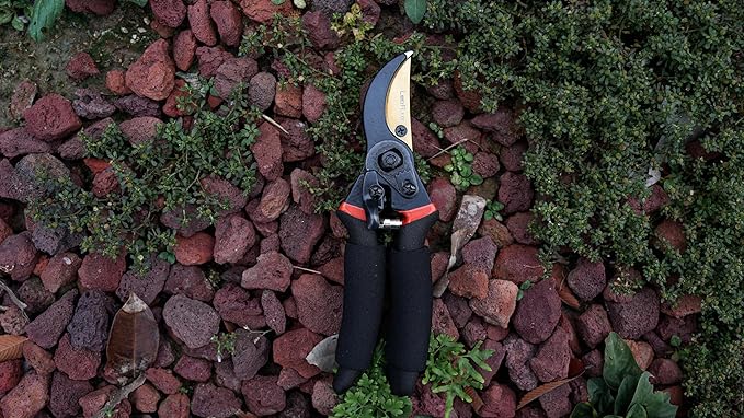 Pruning Shears, Professional SK5 Quality Durable Titanium Plated Rust-Proof Bypass Pruning Shears with Soft Cushion Grip Handle, Hand Pruners, Clippers for Gardening, 8 Inch, LFXP1003B