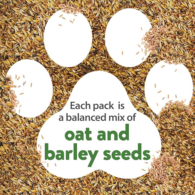 HOME GROWN 30,000+Cat Grass Seeds (6oz) π‘π’π‘-ππ π’ π¨π¦π Heirloom Barley & Oat Mix β Refill for Indoor Cat Grass Growing Kit β Safe Healthy Green Grass for Cats β Pet Grass for Eating & Digestion