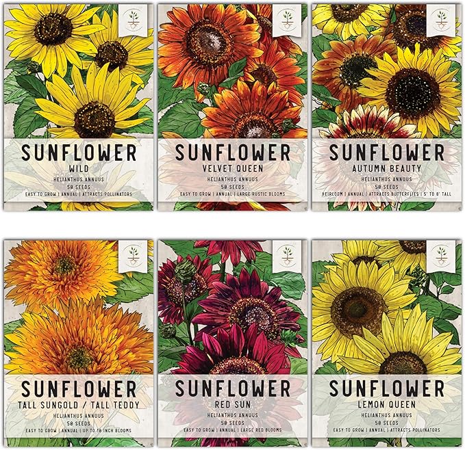 Seed Needs, Sunflower Seed Packet Collection Seed Starting Bundle (Includes 6 Individual Seed Packets, 36 Starter Pots & 1 Expandable Coco Coir Brick) Heirloom, Open Pollinated & Untreated