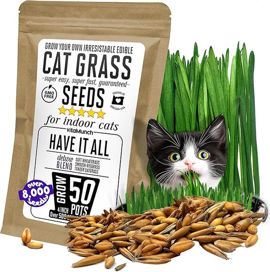 Cat Grass Seeds Deluxe Blend β Tender, Smooth and Chonky β Grows 50 Pots of Fresh Cat Grass for Indoor Cats β Easy & Fast to Grow Bulk Rescuer's Pack Grows 600 Square inches of Edible cat Grass