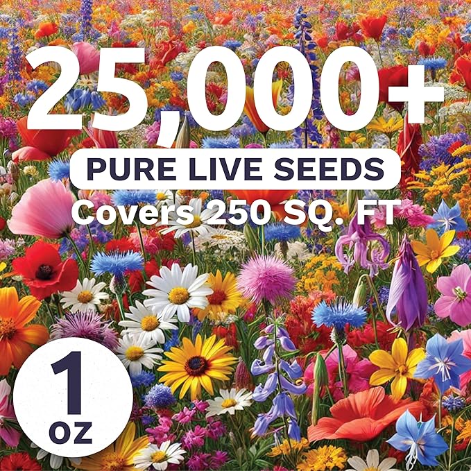 Rocky Mountain Regional Mix - Large 1 Ounce Packet - 25,000 Flower Seeds for Planting - Wildflower Mix