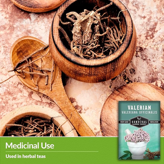 Valerian Seeds for Planting - 5 Packets with Instructions to Plant and Grow Medicinal Herb Valeriana Officinalis in Your Home Herb Garden - Non-GMO Heirloom Variety - Survival Garden Seeds