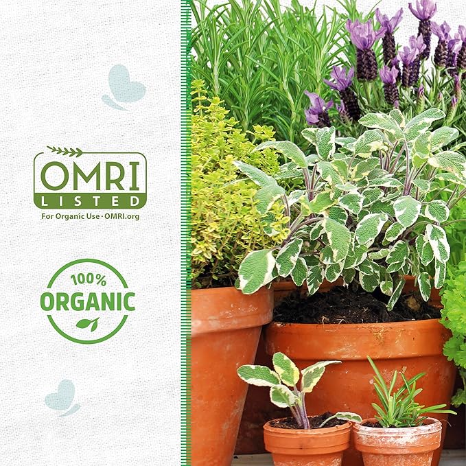 Back to the Roots 100% Organic Vermiculute | Made in The USA | Premium Nutrition for Indoor and Outdoor Plants