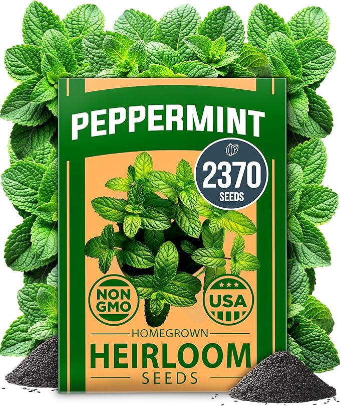 HOME GROWN Peppermint Seeds Pack – 2,370 Non-GMO, Heirloom Mint Seeds for Planting. Grow Peppermint Plants in Your Herb Garden Indoors or Outdoors (Mentha × piperita)