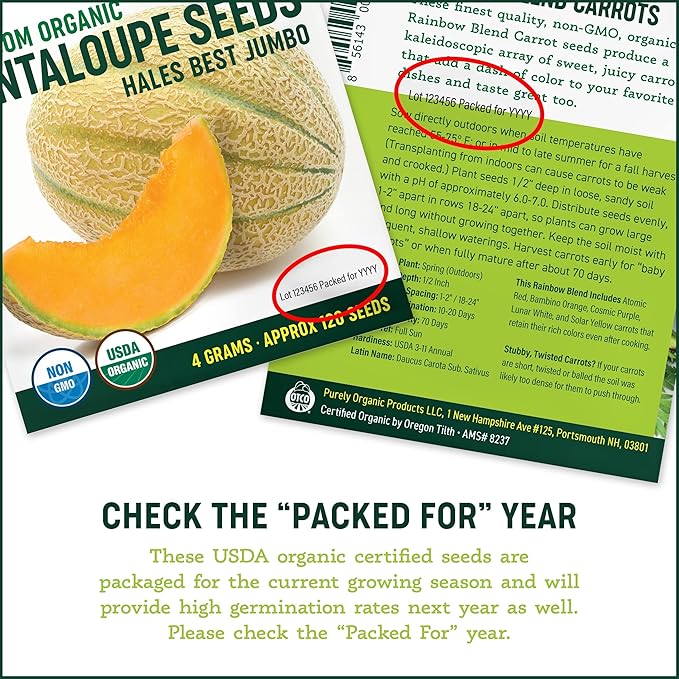 Organic Common Italian Oregano Seeds - USDA Organic, Non-GMO, Open Pollinated, Heirloom (5 Packets - 2.5 Grams - Approx 2250 Seeds)