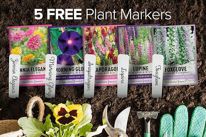 Gardeners Basics, Hummingbird Seeds for Planting Outdoors Flower Seeds (5 Variety Pack) Zinnia, Foxglove, Lupine, Morning Glory, Snapdragons Varieties for Bees, Pollinators Wildflower Seed