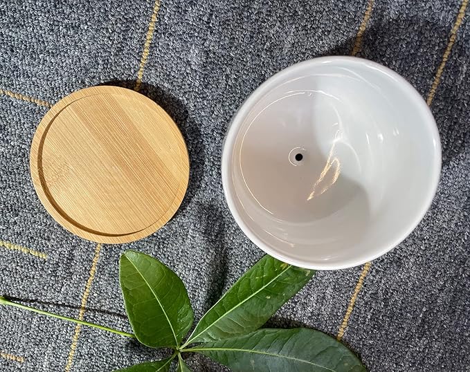 Funny Life Would SUCC Without You Planter Pots, White Ceramic Engraved Mini Succulent Cactus Planter Pot, Home Office Windowsill Plant Pots for Plant Lover Birthday