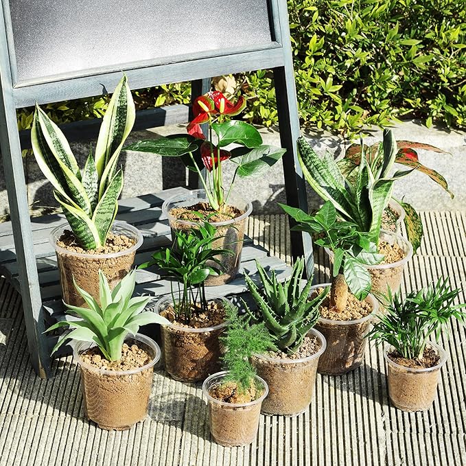 60 Pack 4 Inch Clear Nursery Pots with Drainage Holes, Transparent Plastic Pots for Plants, Reinforced Seed Starter Pots Garden Pots Flower Pots Come with 50pcs Plant Labels