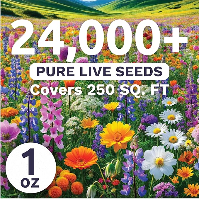 Pacific Northwest Regional Mix - Large 1 Ounce Packet - 24,000 Flower Seeds for Planting - Wildflower Mix