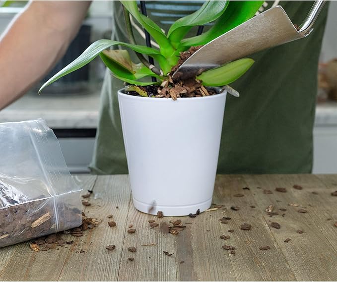 100% Natural Pine Bark Mulch Nuggets (8 Quarts), Small Mulch Chips for Indoor/Outdoor Container Gardening, Ideal for Soil Supplement, Houseplant Mulch