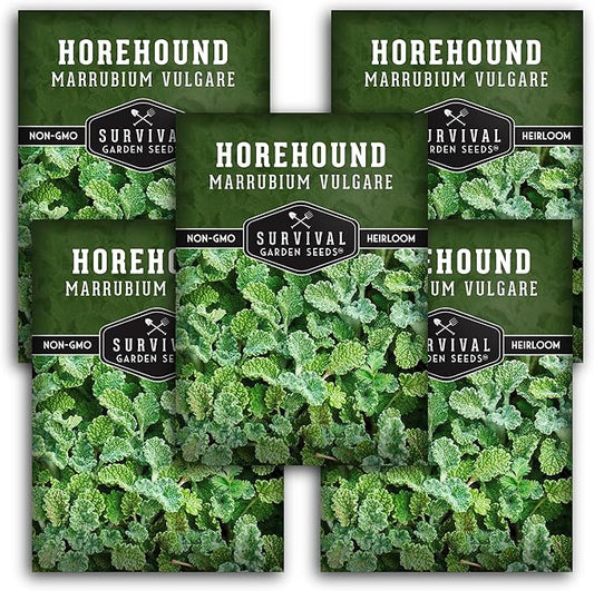 Horehound Seed for Planting - 5 Packets with Instructions to Plant and Grow Beneficial Marrubium Medicinal Herbs in Your Home Vegetable Garden - Non-GMO Heirloom Variety - Survival Garden Seeds
