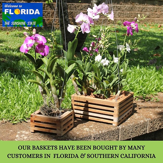 Set of 3 Strong Hanging Orchid Baskets with Hangers, for Orchids, Staghorn Ferns, Handmade Rustic Wood Vanda Baskets, Staghorn Fern Mount