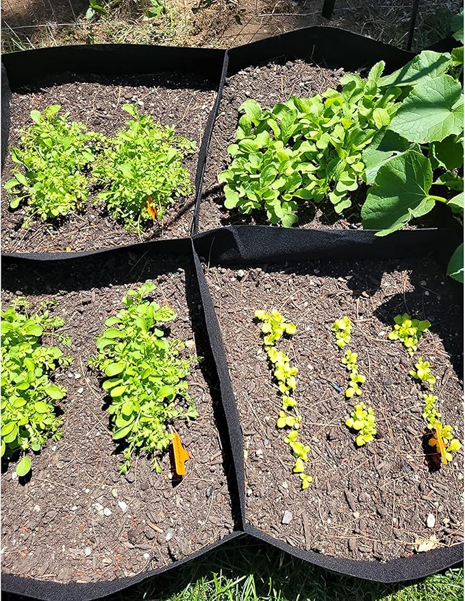 CJGQ 2 Pack Fabric Raised Garden Bed 6x3x1ft Garden Grow Bed Bags for Growing Herbs, Flowers and Vegetables 128 Gallonā¦