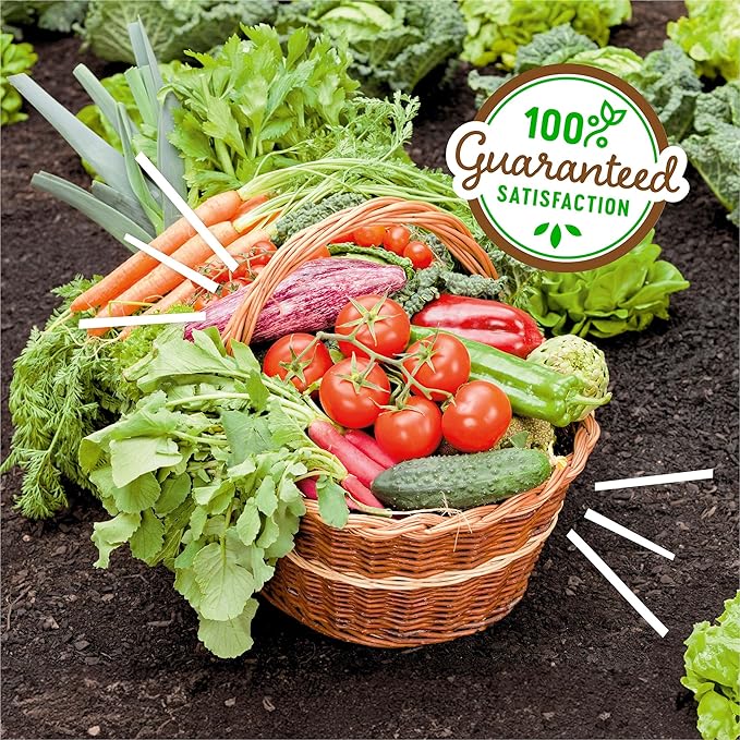 Back to the Roots 100% Organic Blood Meal | Made in The USA | Premium Nutrition for Indoor and Outdoor Plants