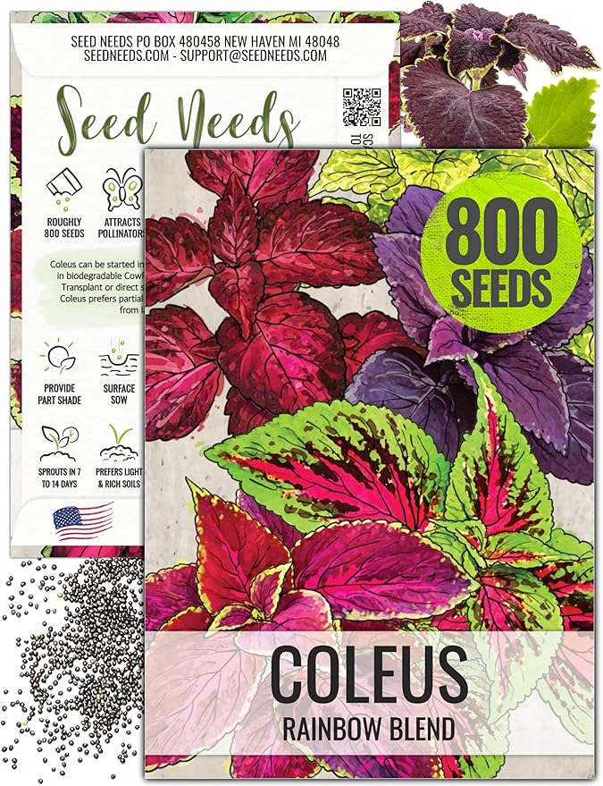 Seed Needs Coleus Seeds for Planting Rainbow Mixture - Heirloom & Open Pollinated Plants Prefer Partial Shade Indoors/Outdoors (1 Pack)