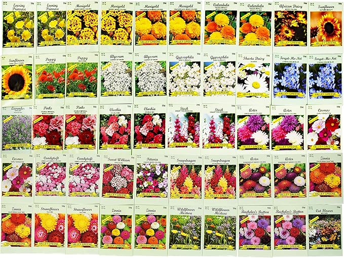 Set of 50 Assorted Flower Seed Packets! Flower Seeds in Bulk - 10+ Varieties Available!