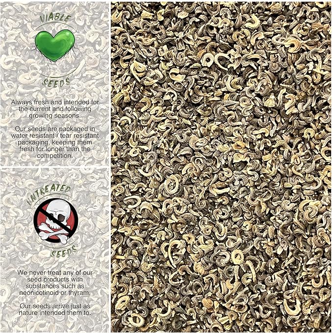 Seed Needs, 1000+ Calendula Pink Surprise Seeds (Calendula officinalis) Non-GMO Wildflowers - Butterfly and Bee Attracting! - Bulk