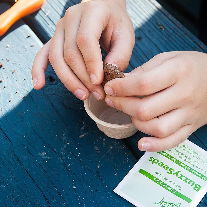 Buzzy Seeds Save The Bees Biodegradable Grow Kit | Herb, Plant, Flower Starter Kit for Kids & Adults | Assorted Wildflowers 12-Pack | Guaranteed to Grow | Best Indoor Grow Your Own Plant