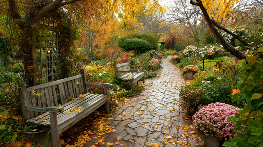 Garden Atelier eco-friendly garden path in late November, with rustic benches, vibrant autumn flowers, and golden leaves signaling the transition into winter.
