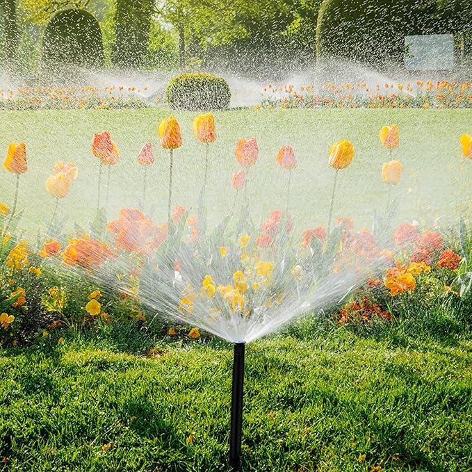 How to Create a Low-Maintenance Backyard Garden That Thrives Year-Round