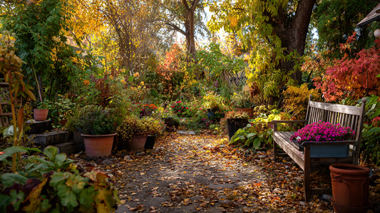 Embracing Early November with Outdoor Plants: Extending Greenery Before Winter