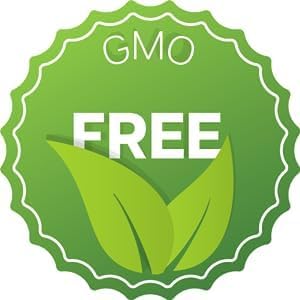 3000 Holy Basil Seeds - Hung Que - AKA. Thai Basil, Asian Basil, Ocimum basilicum | Indoors, Outdoors, and Hydroponics