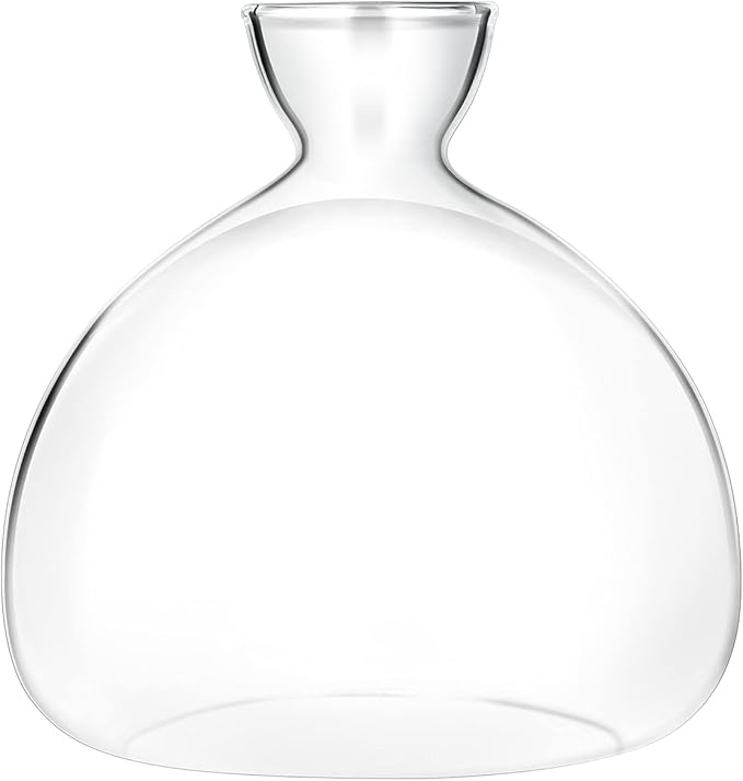 Avocado Seed Starter Planter Vase Pot Avocado Tree Growing Kit Glass Vases Grow Avocado Trees at Home Avocado Tree Growing Kit Unusual Gardening Gifts