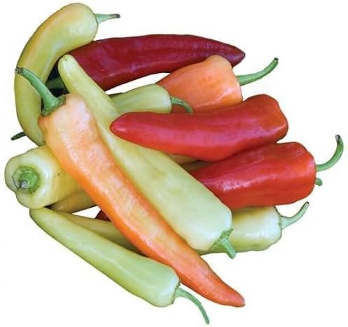 Burpee Straight Eight Slicing Cucumber 200 Seeds and Sweet Banana Sweet Pepper 150 Seeds