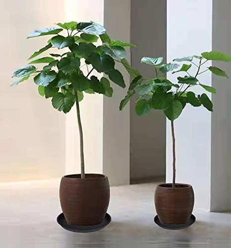 2 Pack of Bird Bath Bowl 12", 1.6" Depth, 10 12 inch Birdbath Bowls Dish Only for The Garden, Large Plant Saucer (12", Black)