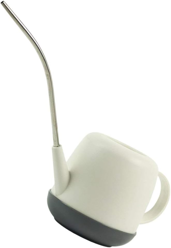 DOITOOL 1pc Long Mouth Watering Can Bonsai Watering Flower Gardening Tool spout Watering cans Flower Watering can Outdoor Watering can Watering Kettle Spray Old Fashioned Stainless Steel