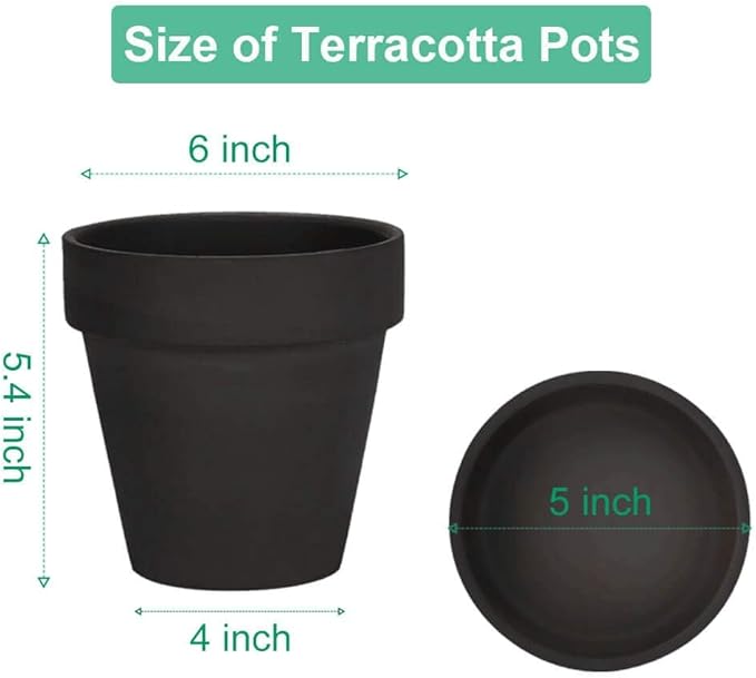 vensovo 6 Inch Black Terracotta & Clay Pots for Plant with Saucer - 4 Pack Medium Terra Cotta Planter with Drainage Hole, Flowerpot for Indoor Outdoor Plants, Crafts, Wedding Favor