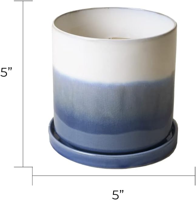 CHIVE ‘Minute’ Ceramic Planter Pot — Cute 5” Colorful Succulent Pots for Indoor & Outdoor House Plants — Beautiful Modern Farmhouse Kitchen Decor — Blue Layer