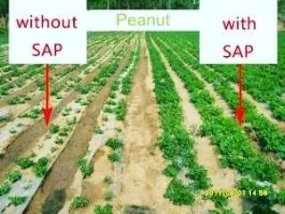 Super Absorbent Polymer Helps Plant Growth and Plant Establishment (40 Pounds)