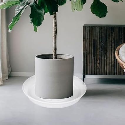 2 Pack of 12 inch Plant Saucer, 1.7" Depth Tray, Large Deep Garden Plastic Flower Planter Plant Trays for Indoors Outdoor Bath Bath (12", Clear)